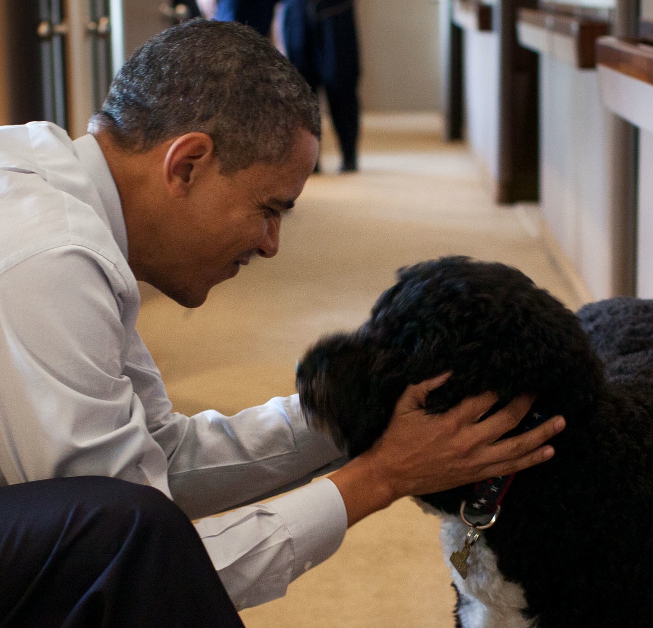 The Dog Daze of Obama