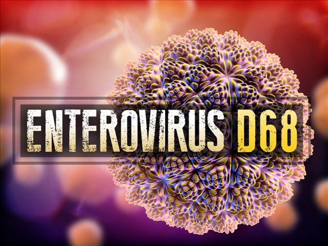 The Invasion of Enterovirus EV-D68