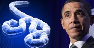 Does Obama plan to transfer Ebola to the U.S.?